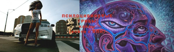 мет Медвежьегорск