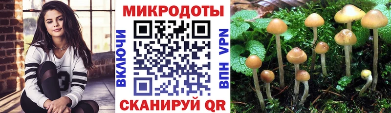 Псилоцибиновые грибы Magic Shrooms  Сосновый Бор 