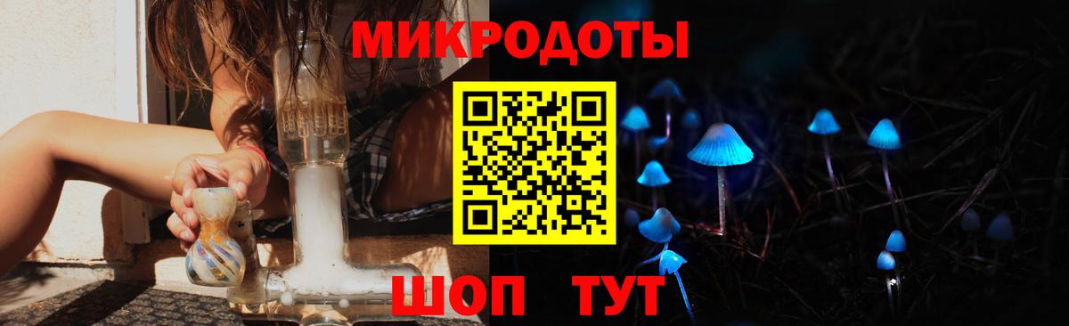 Псилоцибиновые грибы ЛСД Сосновый Бор